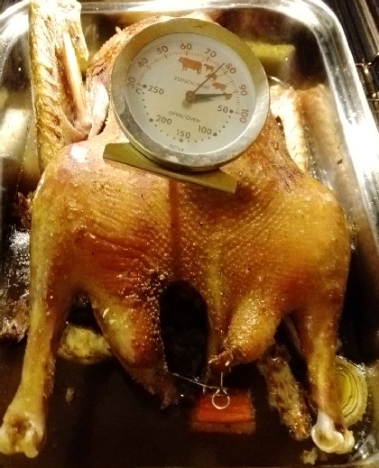 Stressfreie Weihnachtsgans Niedriggarmethode