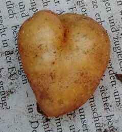 Regionale Wirtschaft und Landwirtschaft frdern