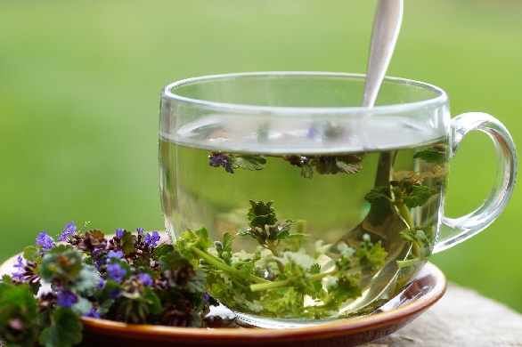 Heilpraktiker heilen auch mit Tee