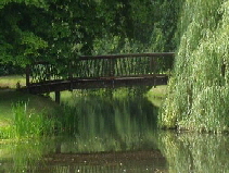 Swantje Kallenbach Coaching